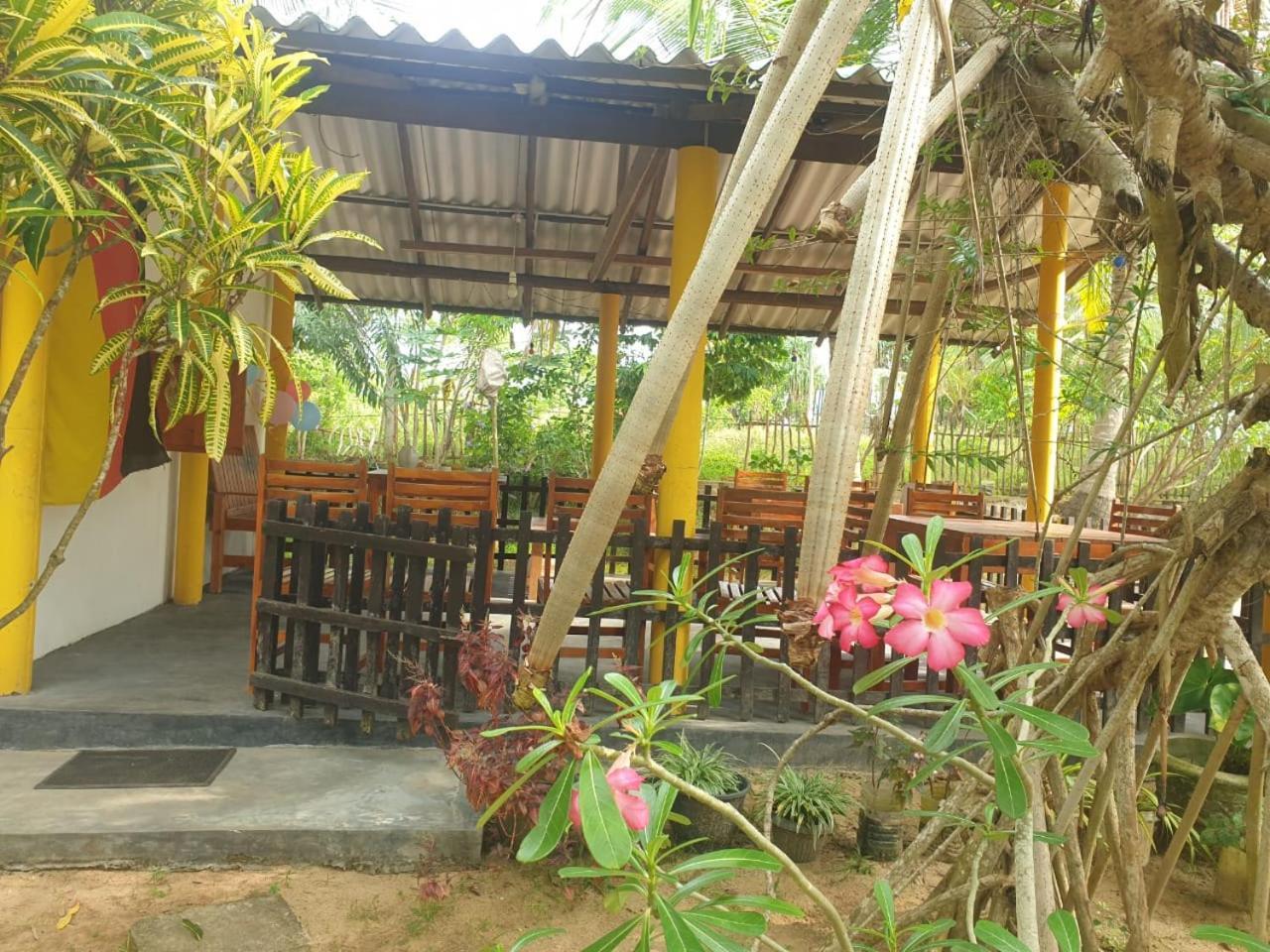 Beach Lagoon Guesthouse Tangalle Exteriér fotografie